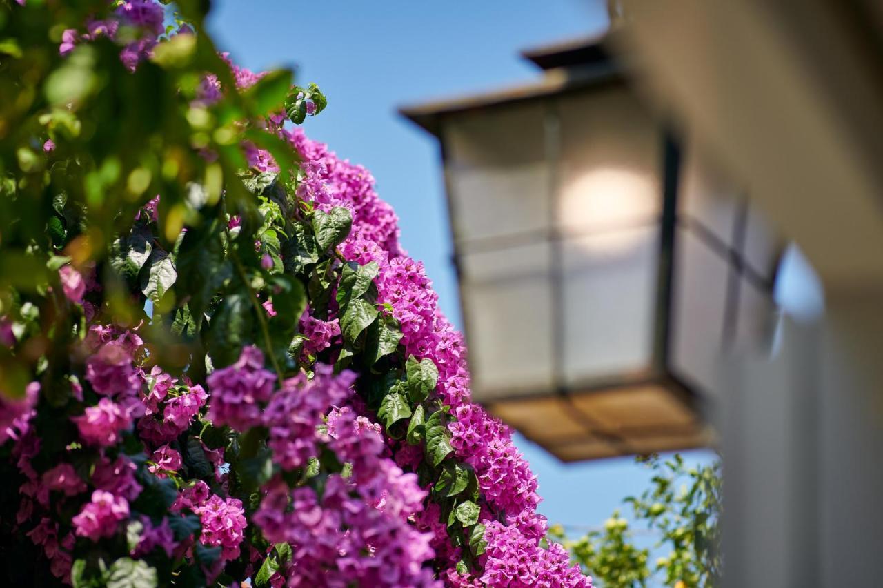 Villa Magnolia Кавтат Екстериор снимка